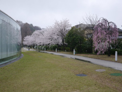P1050961