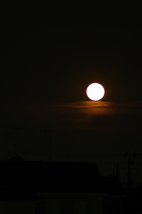IMGP3843