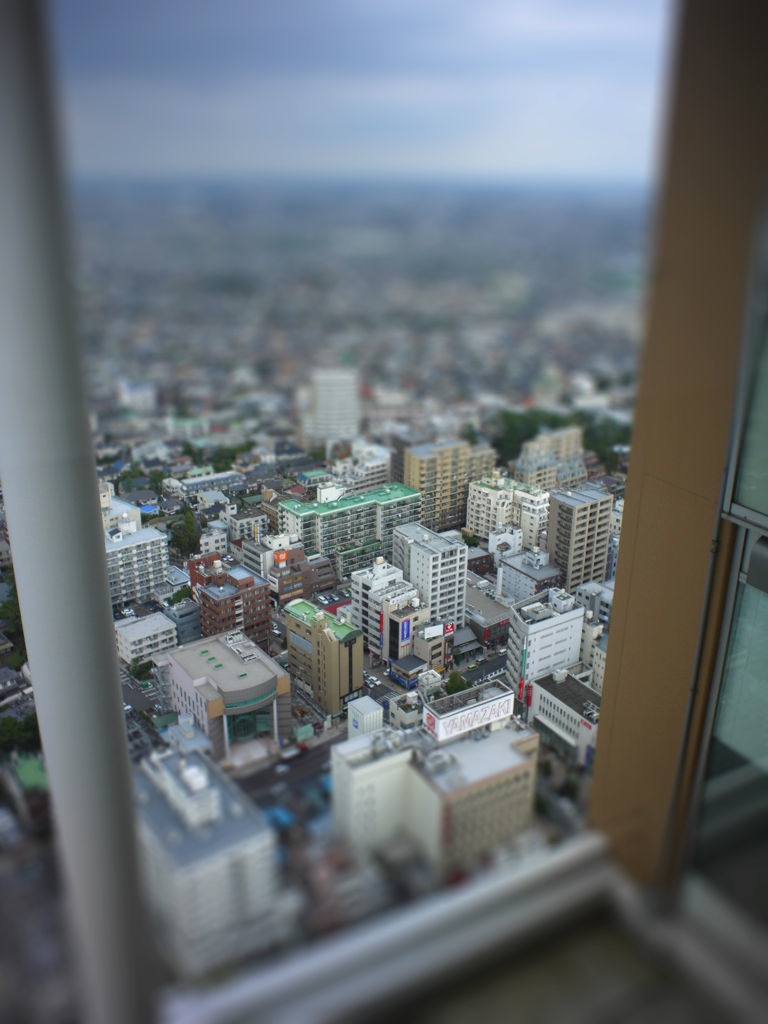 P1070417-tiltshift