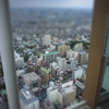 P1070417-tiltshift