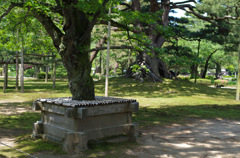 IMGP5029