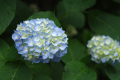 IMGP1249