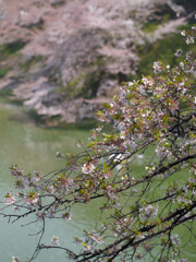 P1030836