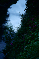 P1060669