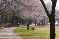 P1050482