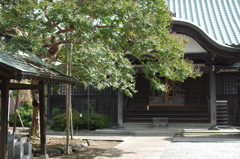 IMGP9991