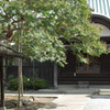IMGP9991