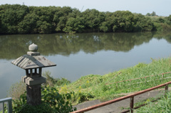 IMGP0010