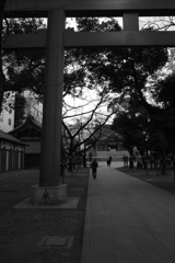 P1080128