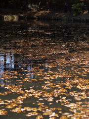 P1070821