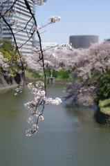 IMGP0632