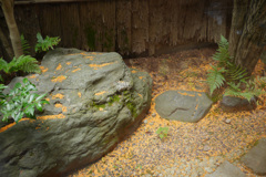 P1020583