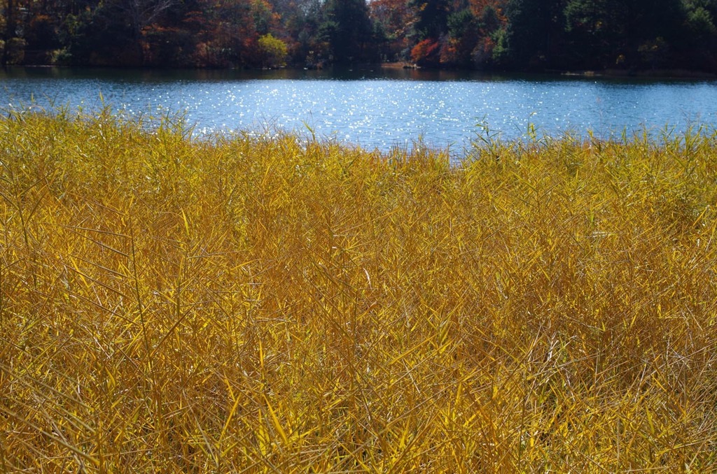 IMGP2360