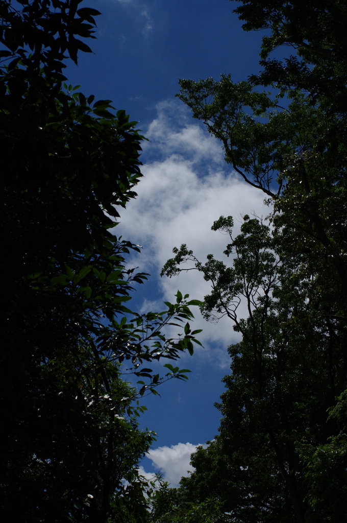 IMGP8769