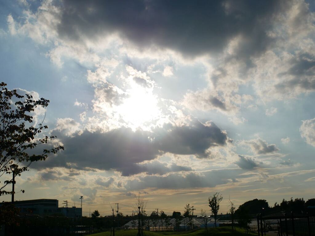 P1070597