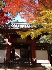 P1070681