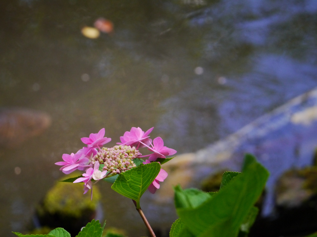 P1060273