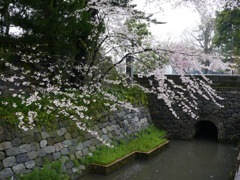 P1050960
