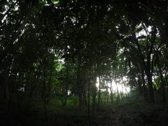 P1090659