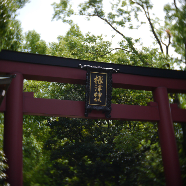 P1040393