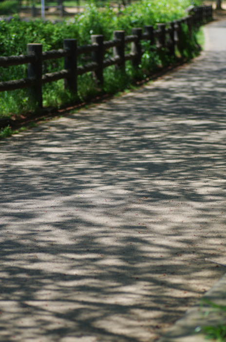 IMGP0125