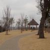 IMGP2363