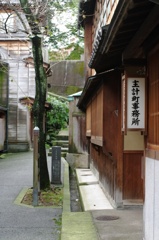 IMGP2234