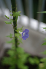 IMGP1698