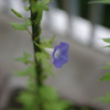 IMGP1698