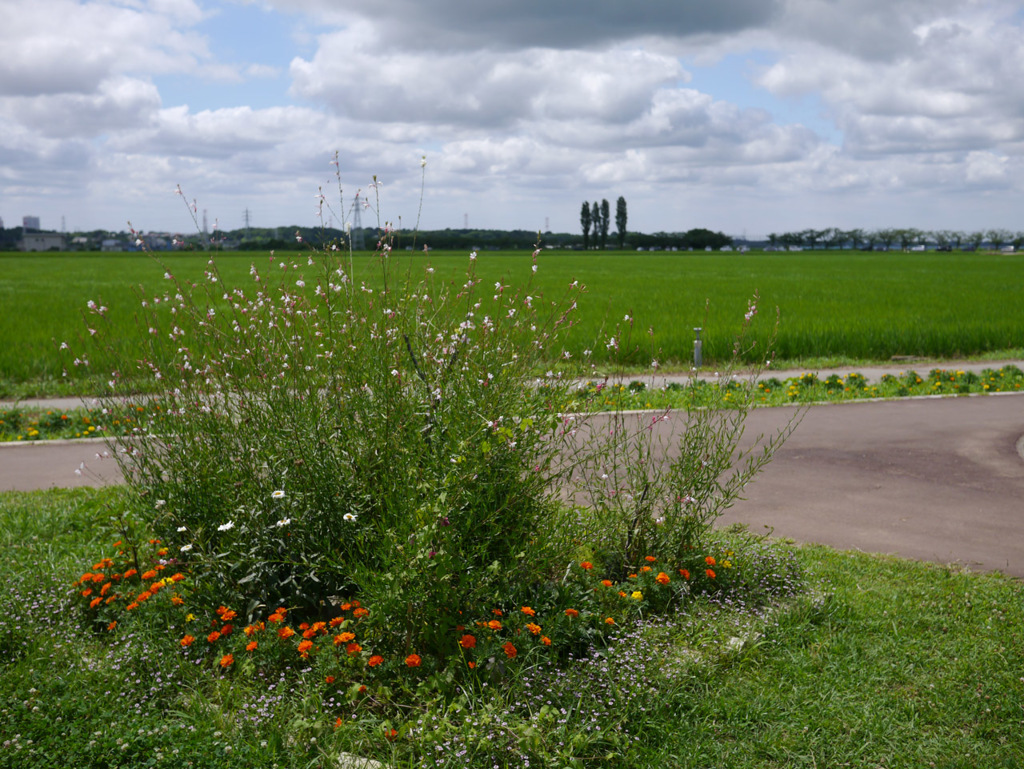 P1080337