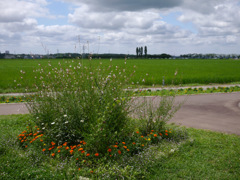 P1080337