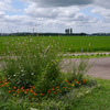 P1080337