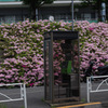 IMGP8443