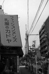 P1020008