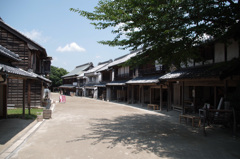 IMGP9314