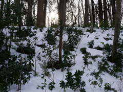 P1030240