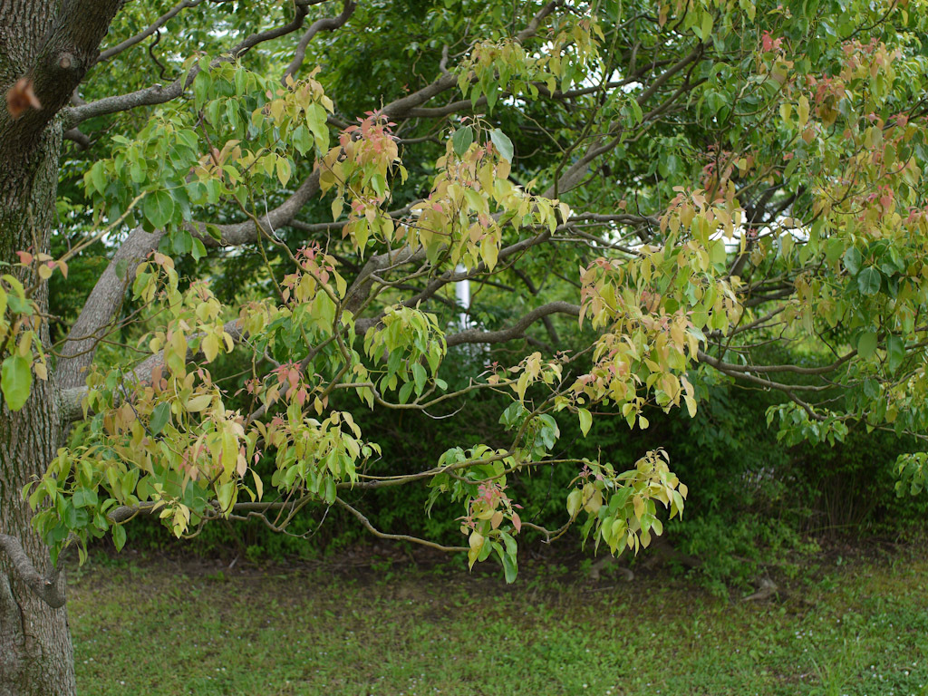 P1050697