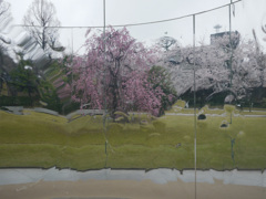 P1050966