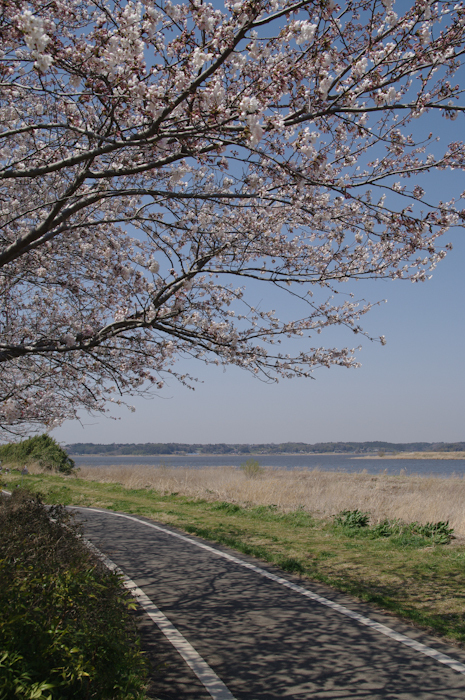 IMGP3560