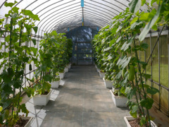 P1080383