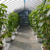 P1080383
