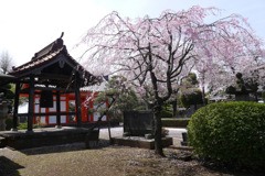 P1070665