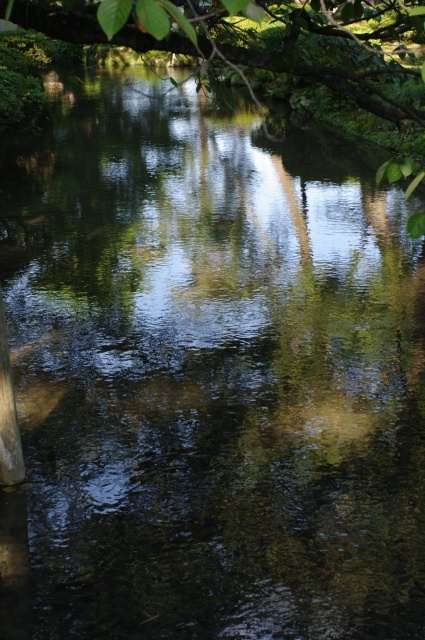 IMGP2173