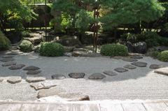 IMGP0016