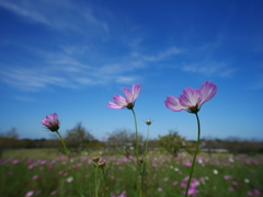 P1200856