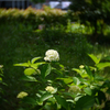 P1040425