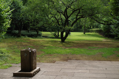 IMGP9243