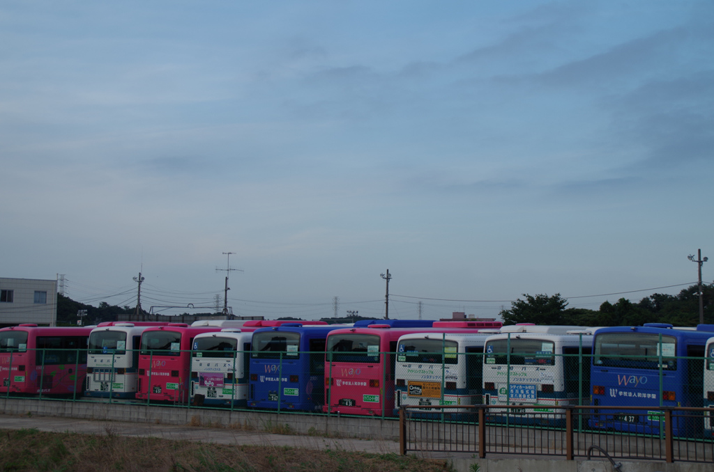IMGP1086