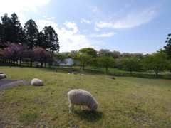 P1090923