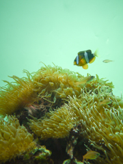 P1100472